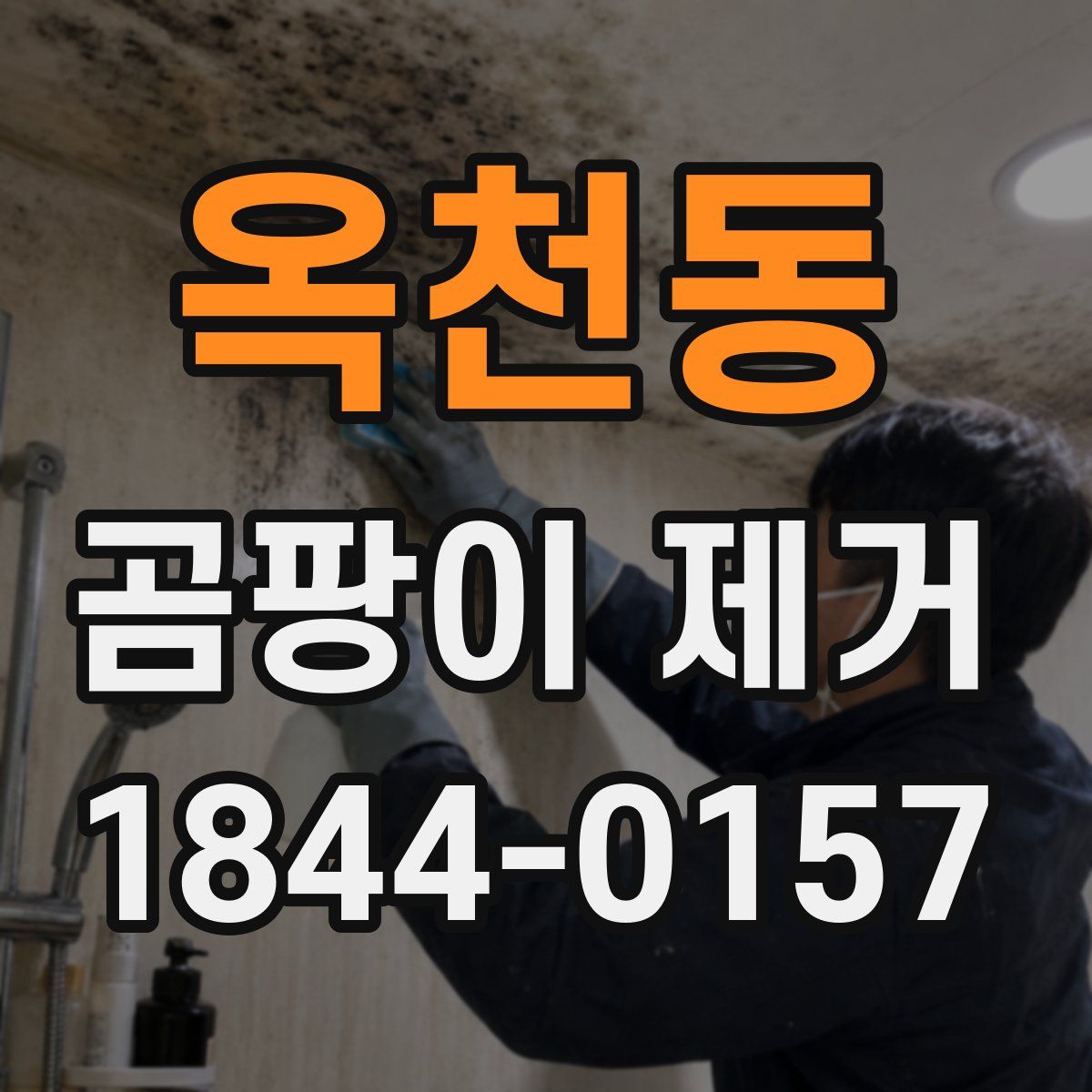 옥천동 곰팡이 제거
