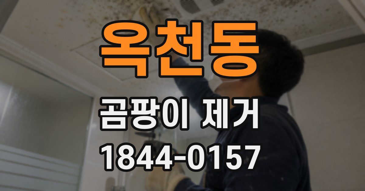 옥천동 곰팡이 제거