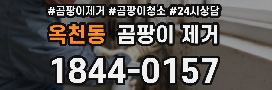 옥천동 곰팡이 제거