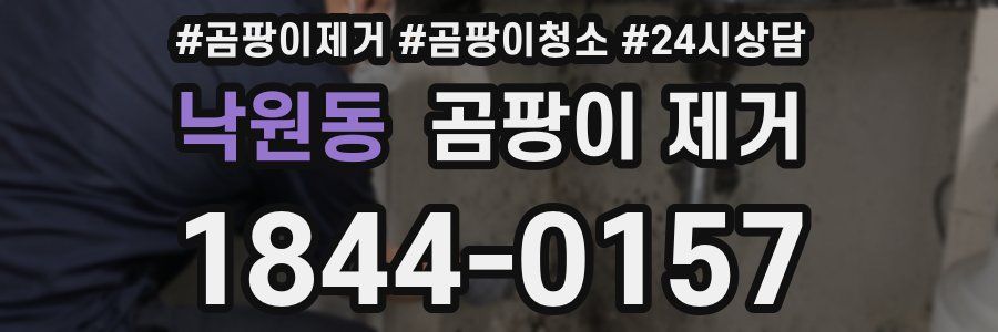 낙원동 곰팡이 제거