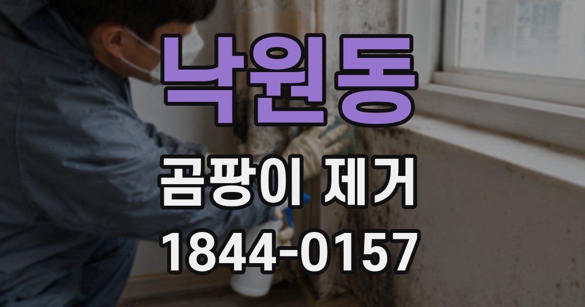 낙원동 곰팡이 제거