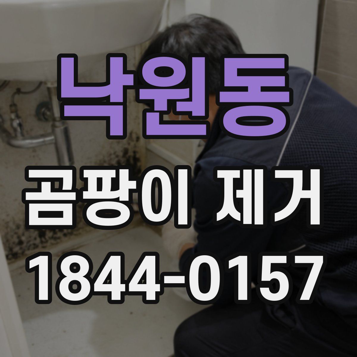 낙원동 곰팡이 제거
