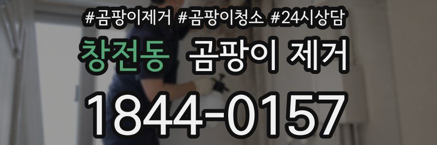 창전동 곰팡이 제거