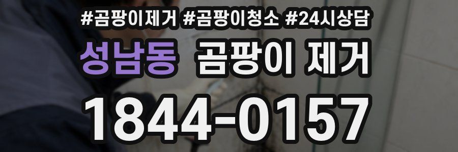 성남동 곰팡이 제거