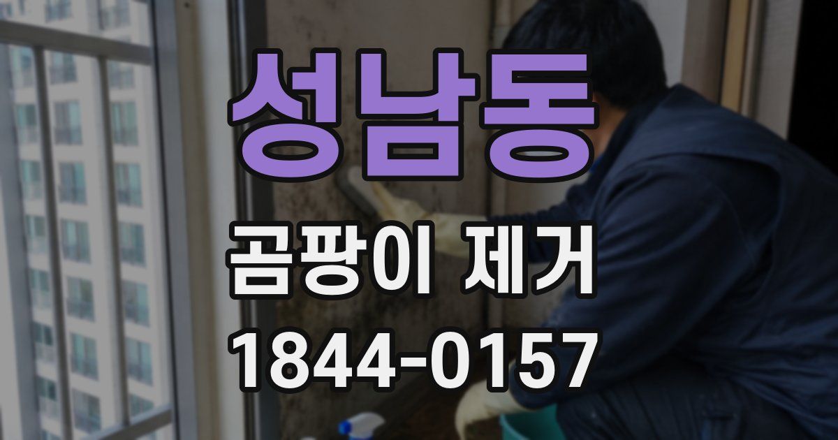 성남동 곰팡이 제거