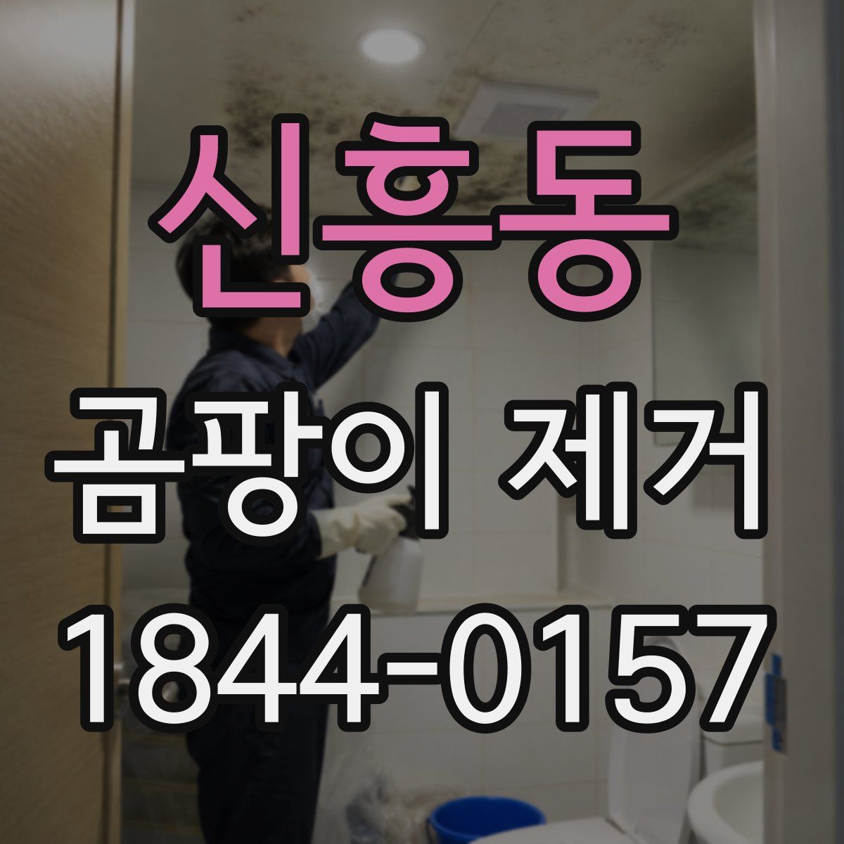 신흥동 곰팡이 제거