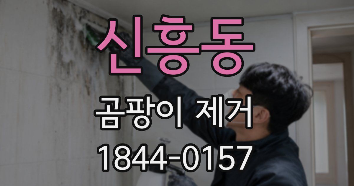 신흥동 곰팡이 제거