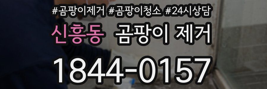 신흥동 곰팡이 제거