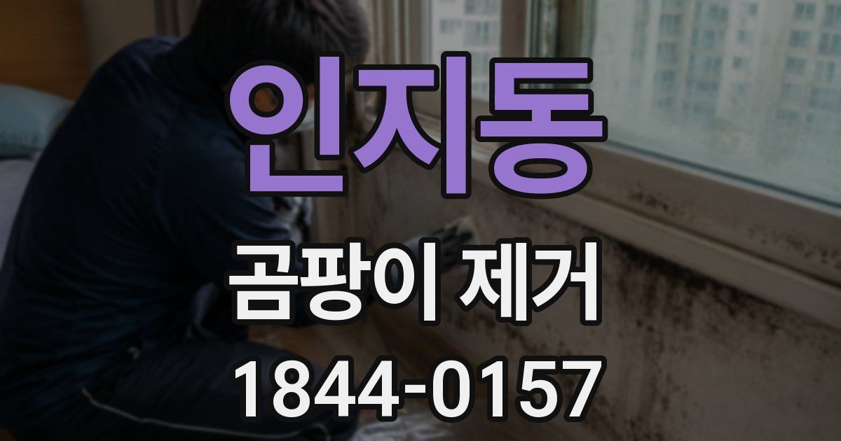 인지동 곰팡이 제거