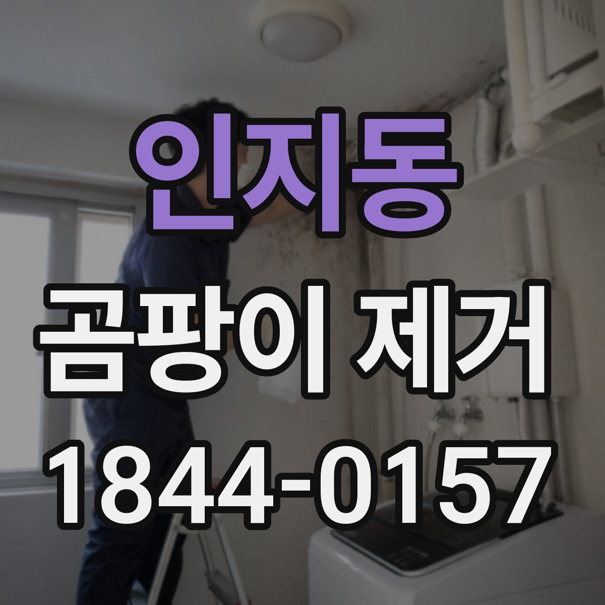 인지동 곰팡이 제거