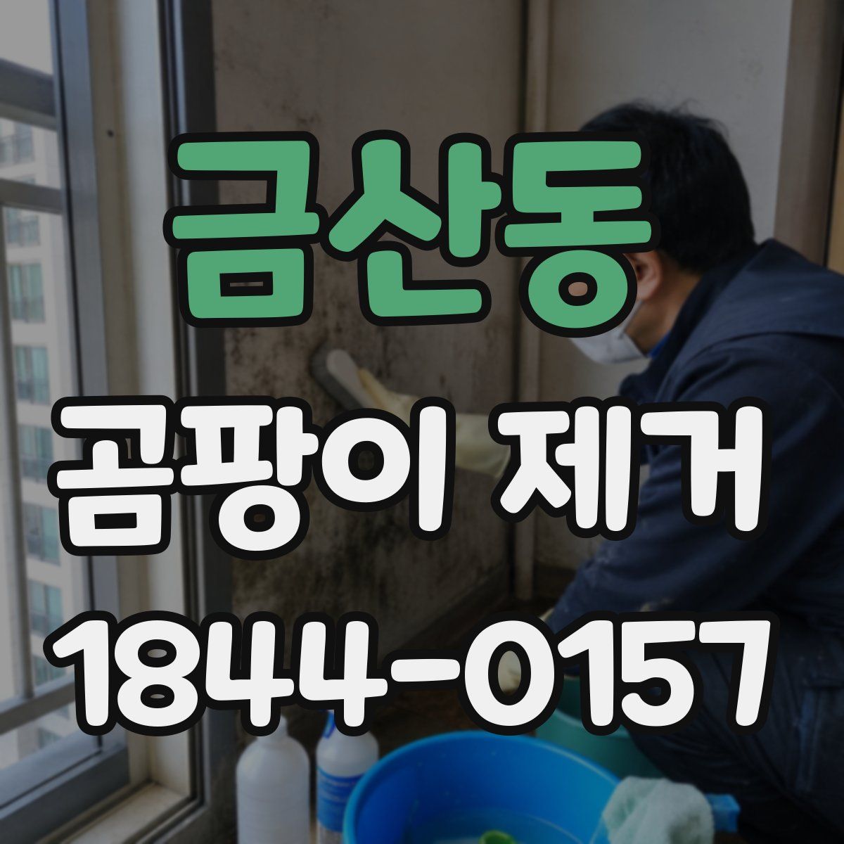 금산동 곰팡이 제거