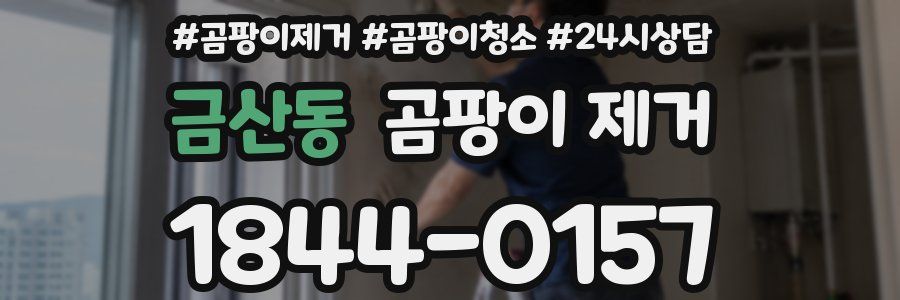 금산동 곰팡이 제거