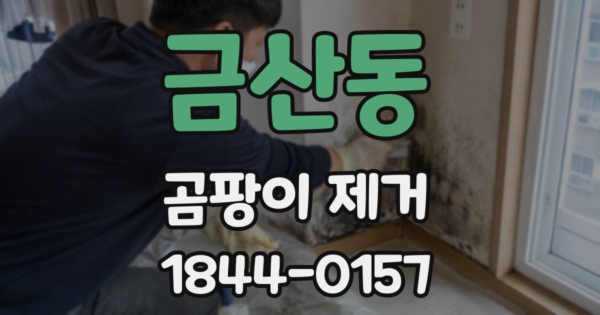 금산동 곰팡이 제거