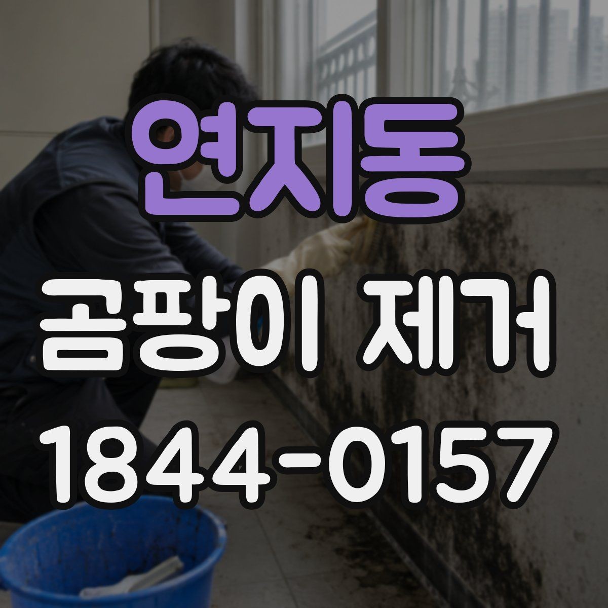 연지동 곰팡이 제거 이후 냄새와 미세습기 관리 팁
