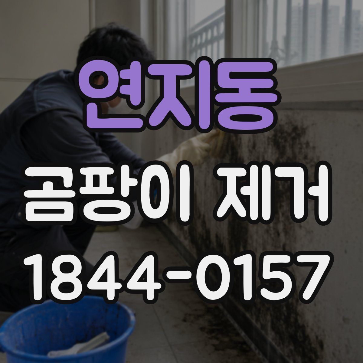 연지동 곰팡이 제거