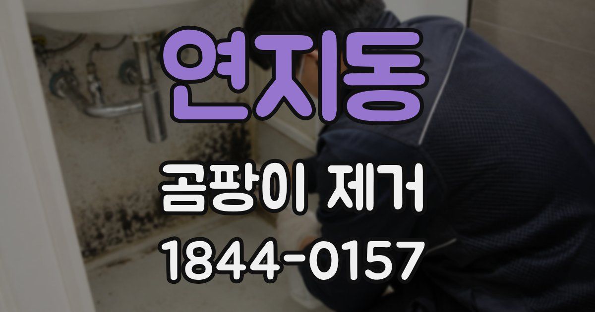 연지동 곰팡이 제거