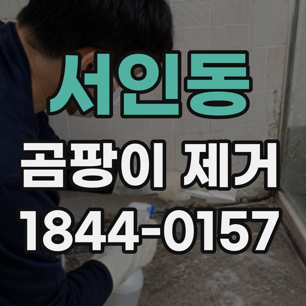 서인동 곰팡이 제거 집안 습기 키우는 행동부터 바꾸기