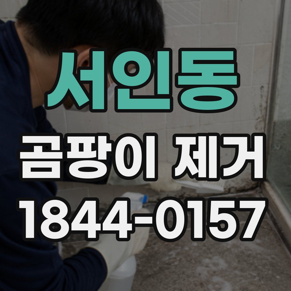 서인동 곰팡이 제거