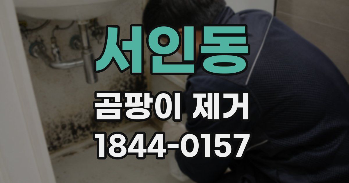 서인동 곰팡이 제거