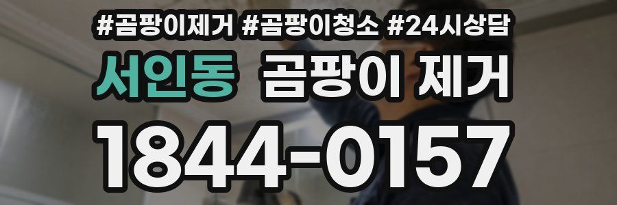 서인동 곰팡이 제거