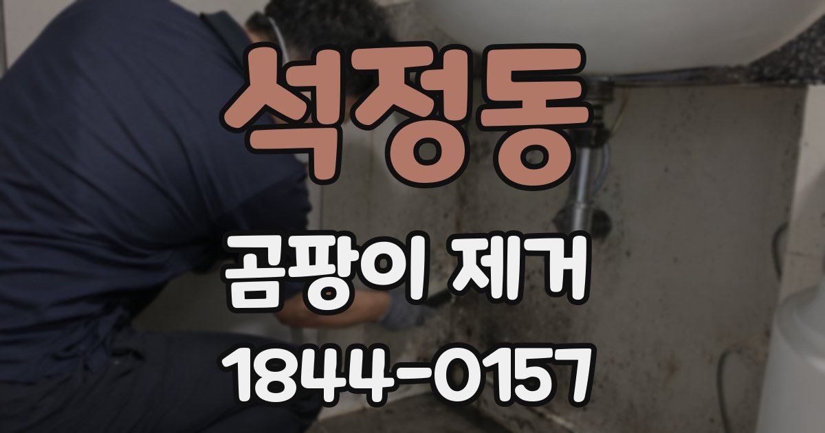 석정동 곰팡이 제거