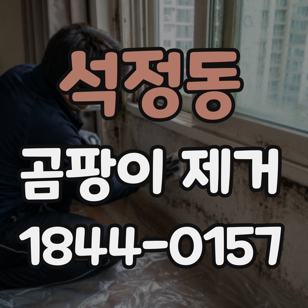 석정동 곰팡이 제거