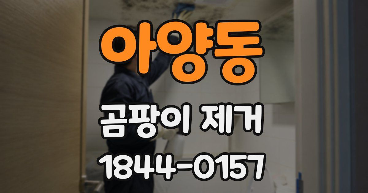 아양동 곰팡이 제거