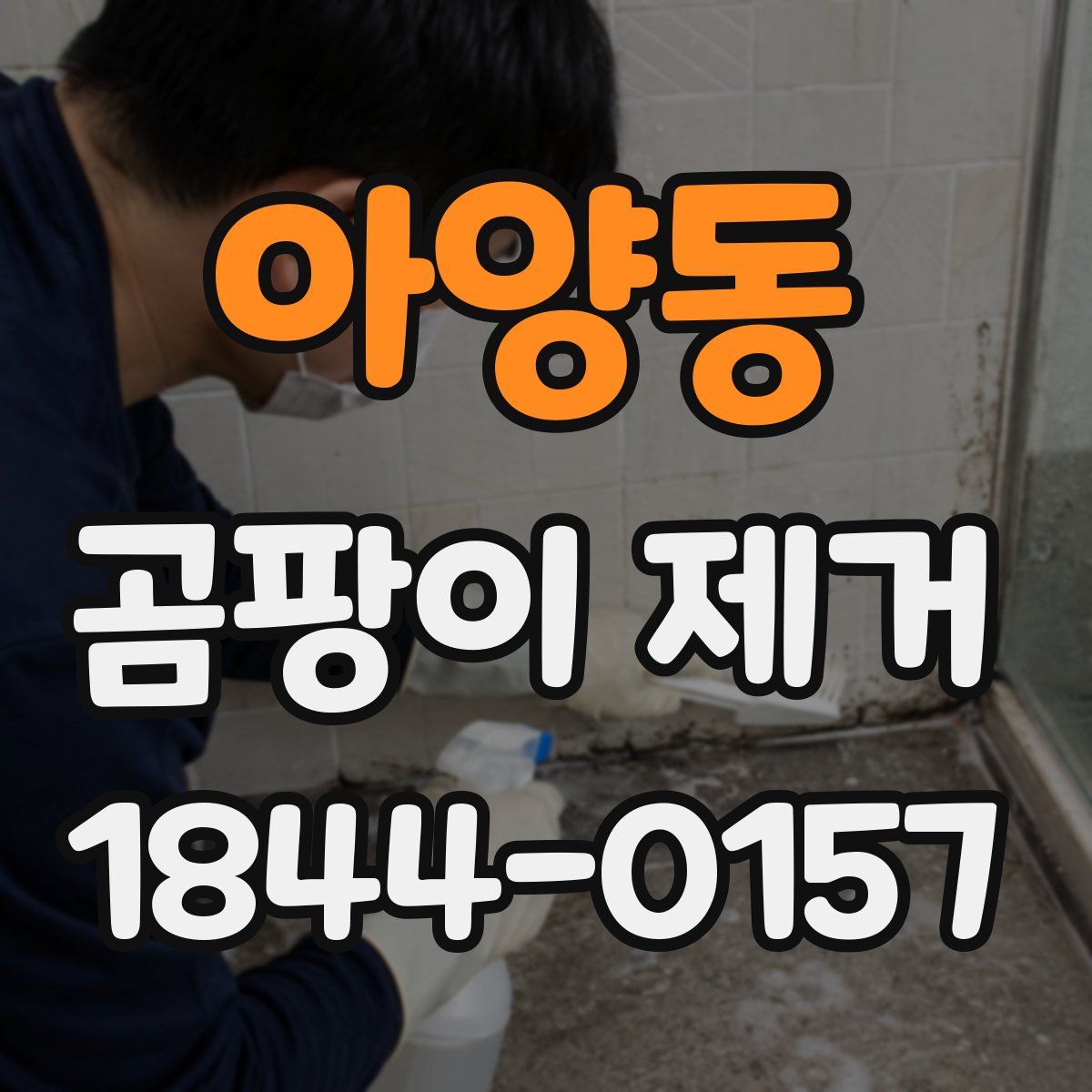 아양동 곰팡이 제거