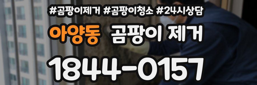 아양동 곰팡이 제거