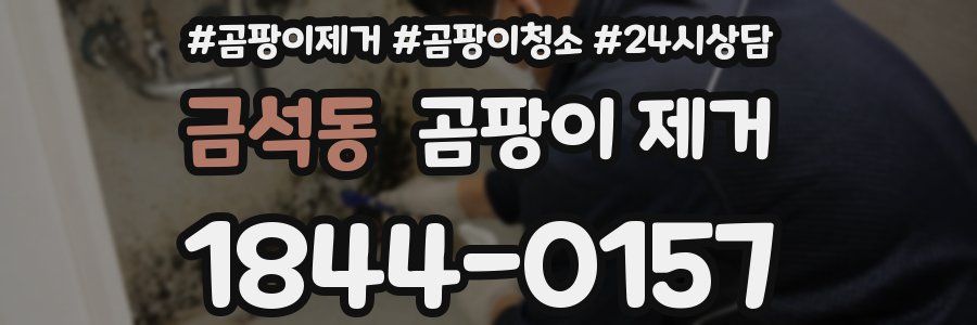 금석동 곰팡이 제거