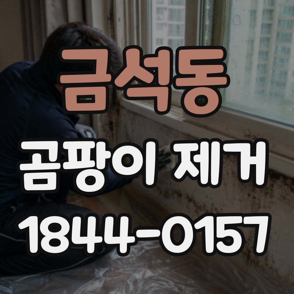 금석동 곰팡이 제거