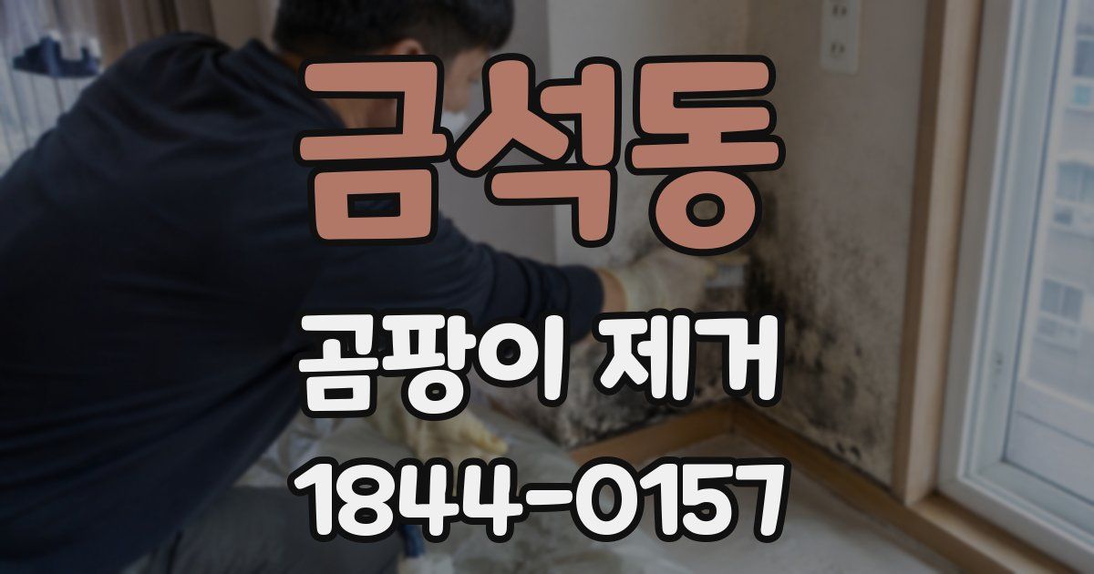 금석동 곰팡이 제거
