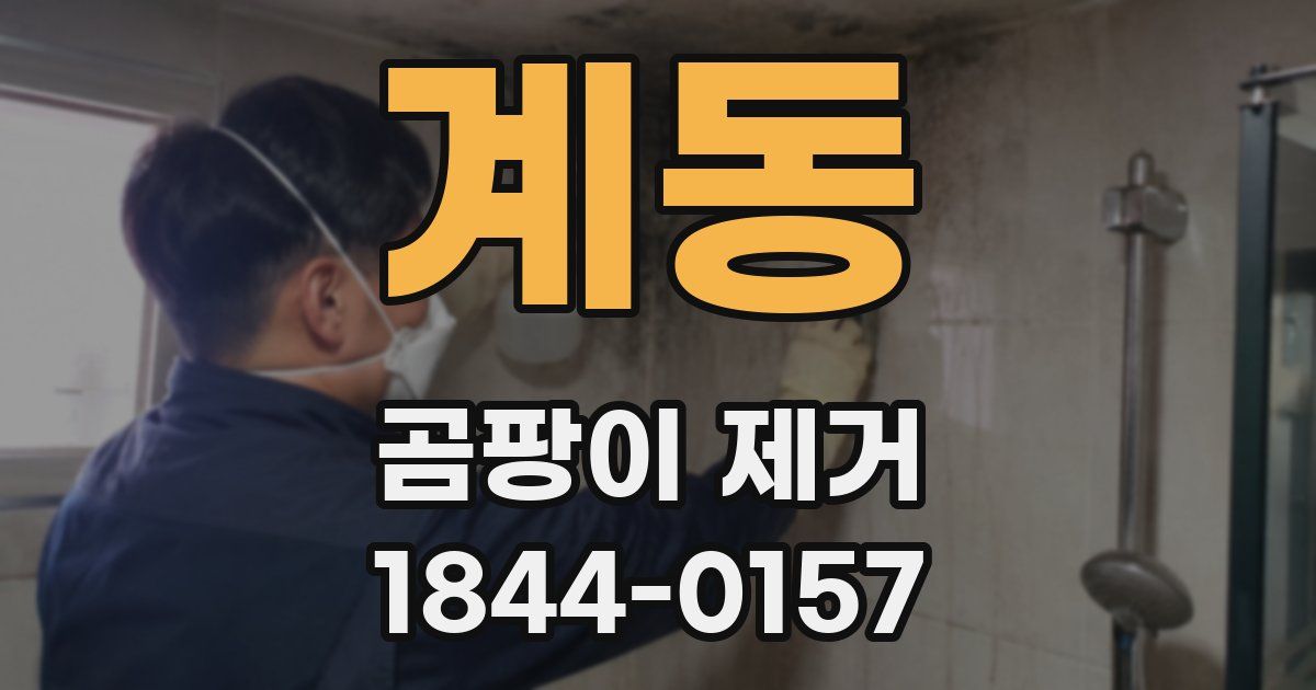 계동 곰팡이 제거