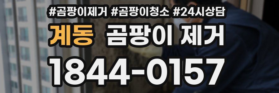 계동 곰팡이 제거