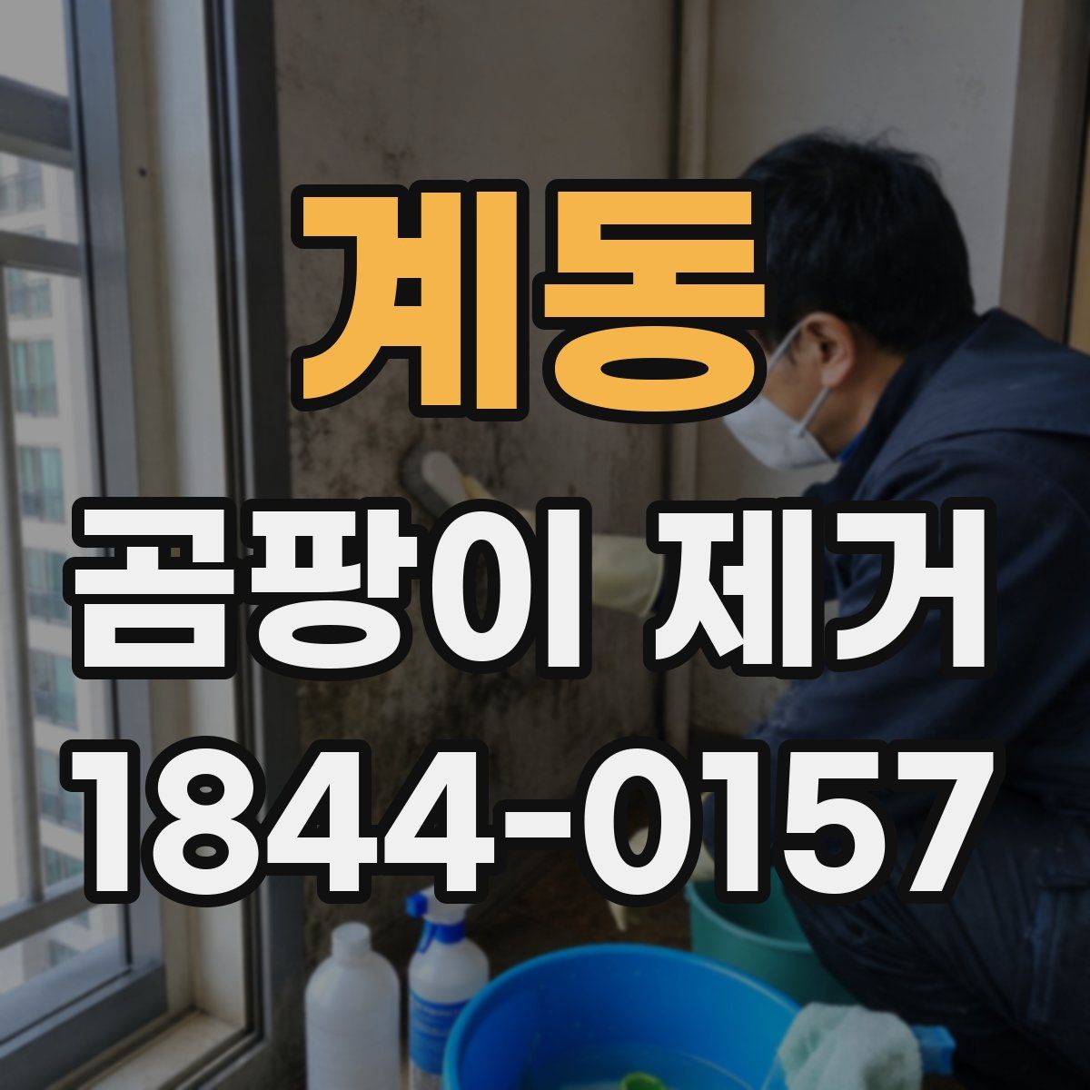 계동 곰팡이 제거