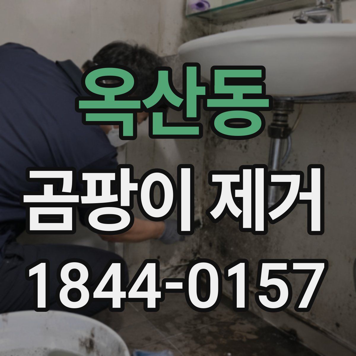 옥산동 곰팡이 제거
