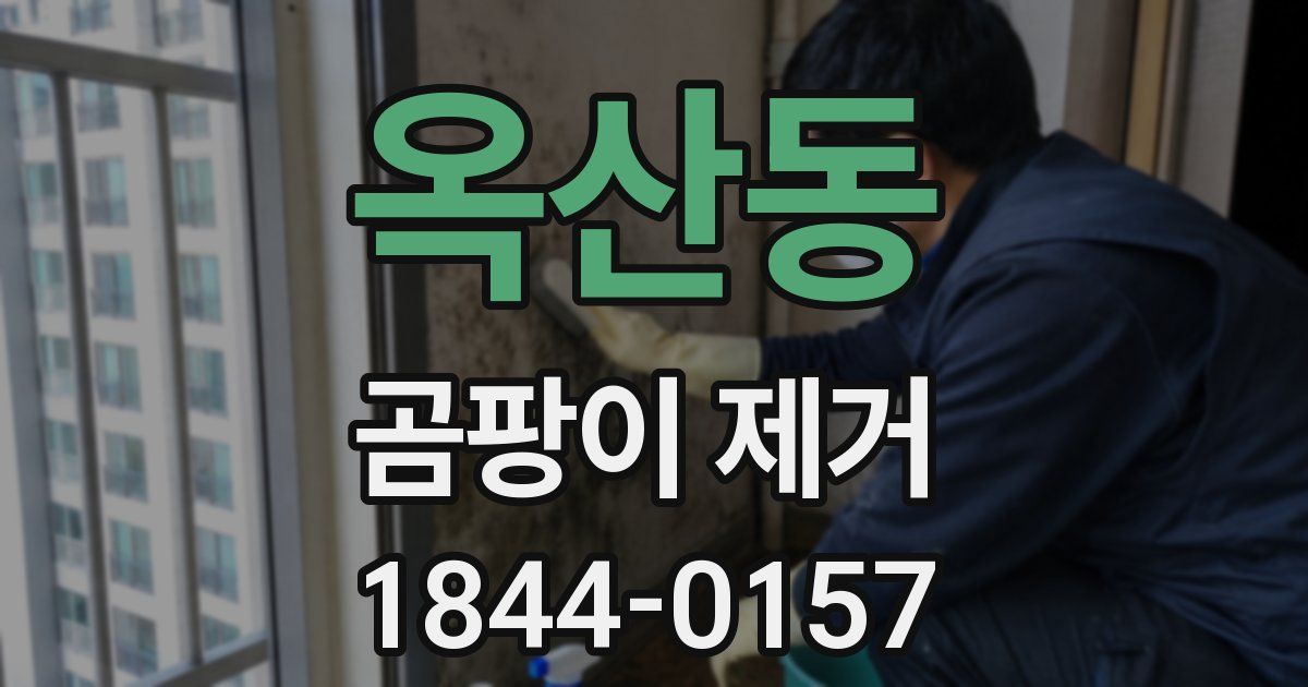 옥산동 곰팡이 제거