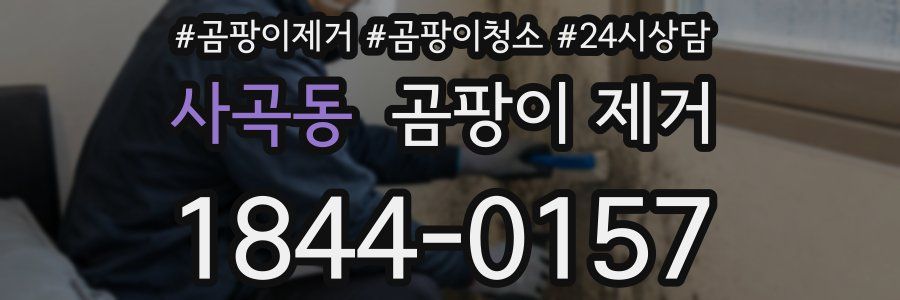 사곡동 곰팡이 제거