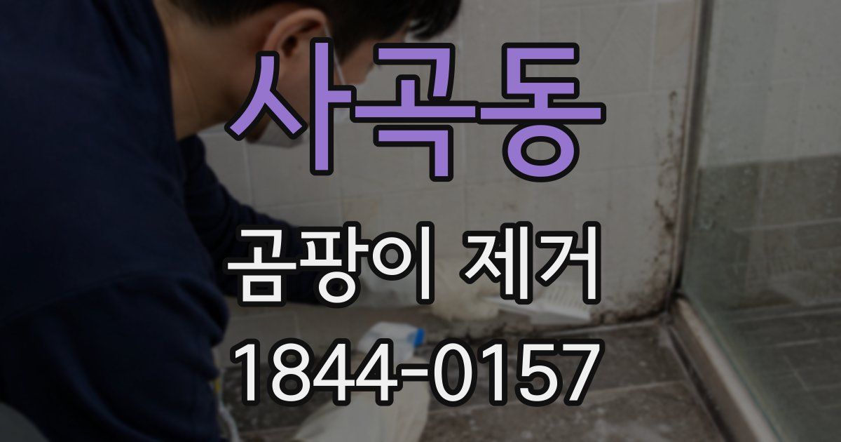 사곡동 곰팡이 제거