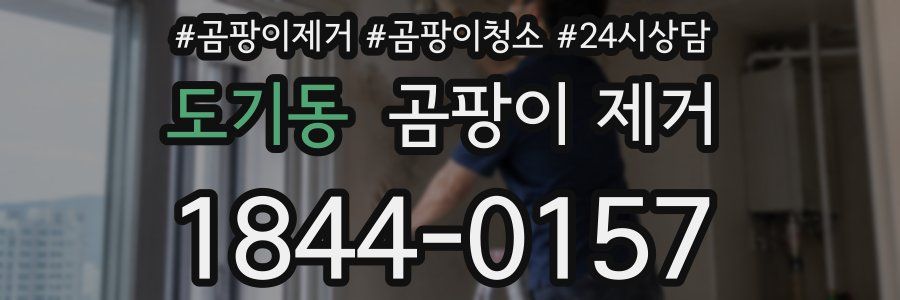 도기동 곰팡이 제거