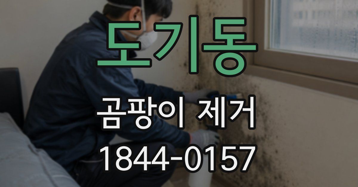 도기동 곰팡이 제거