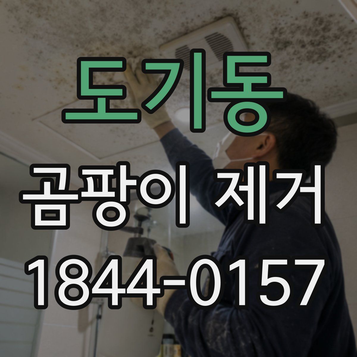 도기동 곰팡이 제거