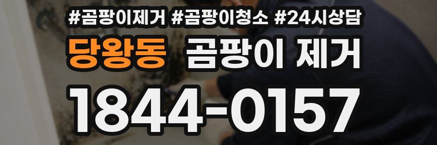 당왕동 곰팡이 제거