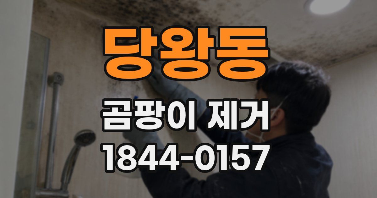 당왕동 곰팡이 제거