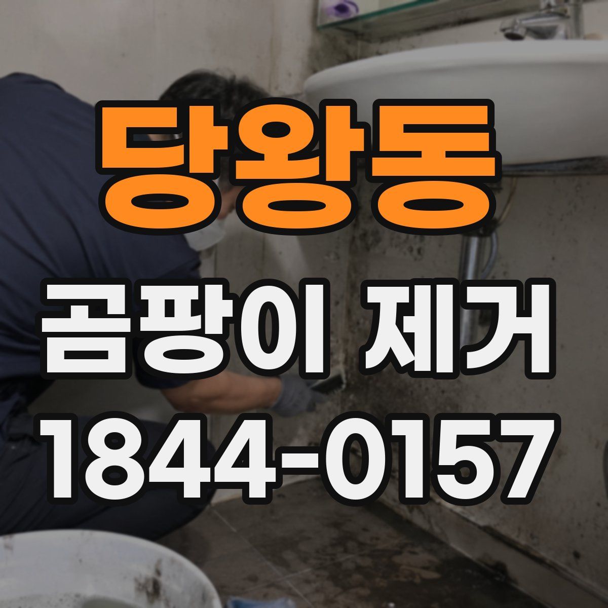 당왕동 곰팡이 제거