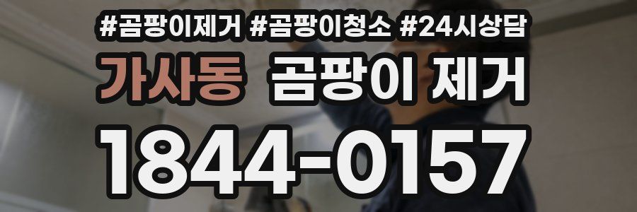 가사동 곰팡이 제거