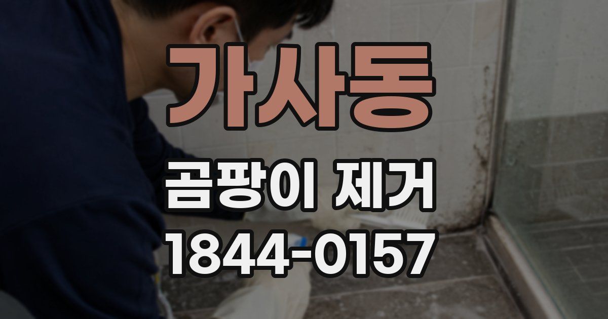 가사동 곰팡이 제거