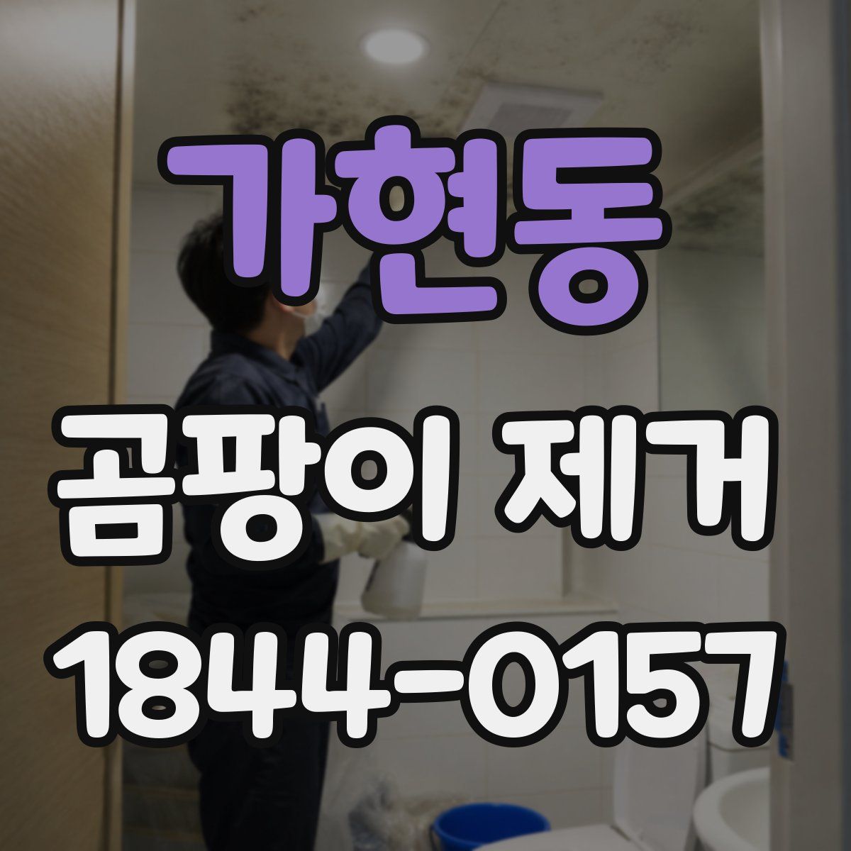 가현동 곰팡이 제거