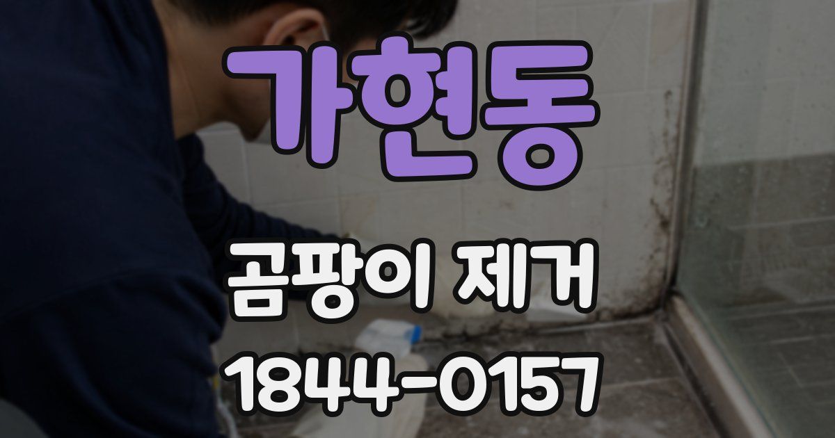 가현동 곰팡이 제거