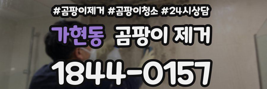 가현동 곰팡이 제거